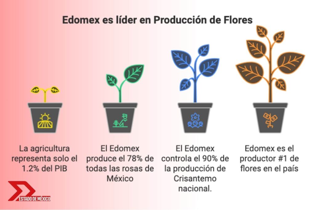 El Edomex es líder nacional en producción de flores 0
