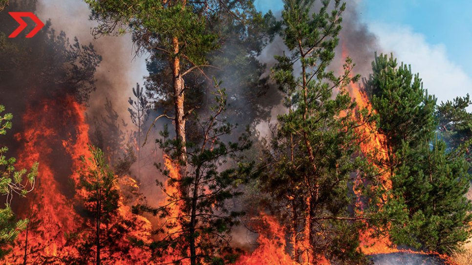 Estado de México ocupa el segundo lugar en detección de incendios forestales, según Conafor