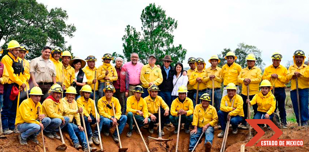 Plan de restauración forestal del Edomex: una estrategia para mitigar el cambio climático