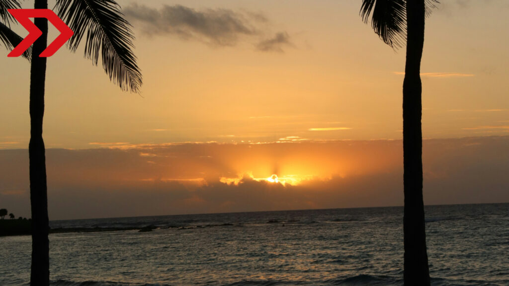 Del 11 al 13 de septiembre de 2024 se llevó a cabo en el Centro de Convenciones del Hilton Tulum Riviera Maya, la 18ª Convención Nacional de ASOFOM.