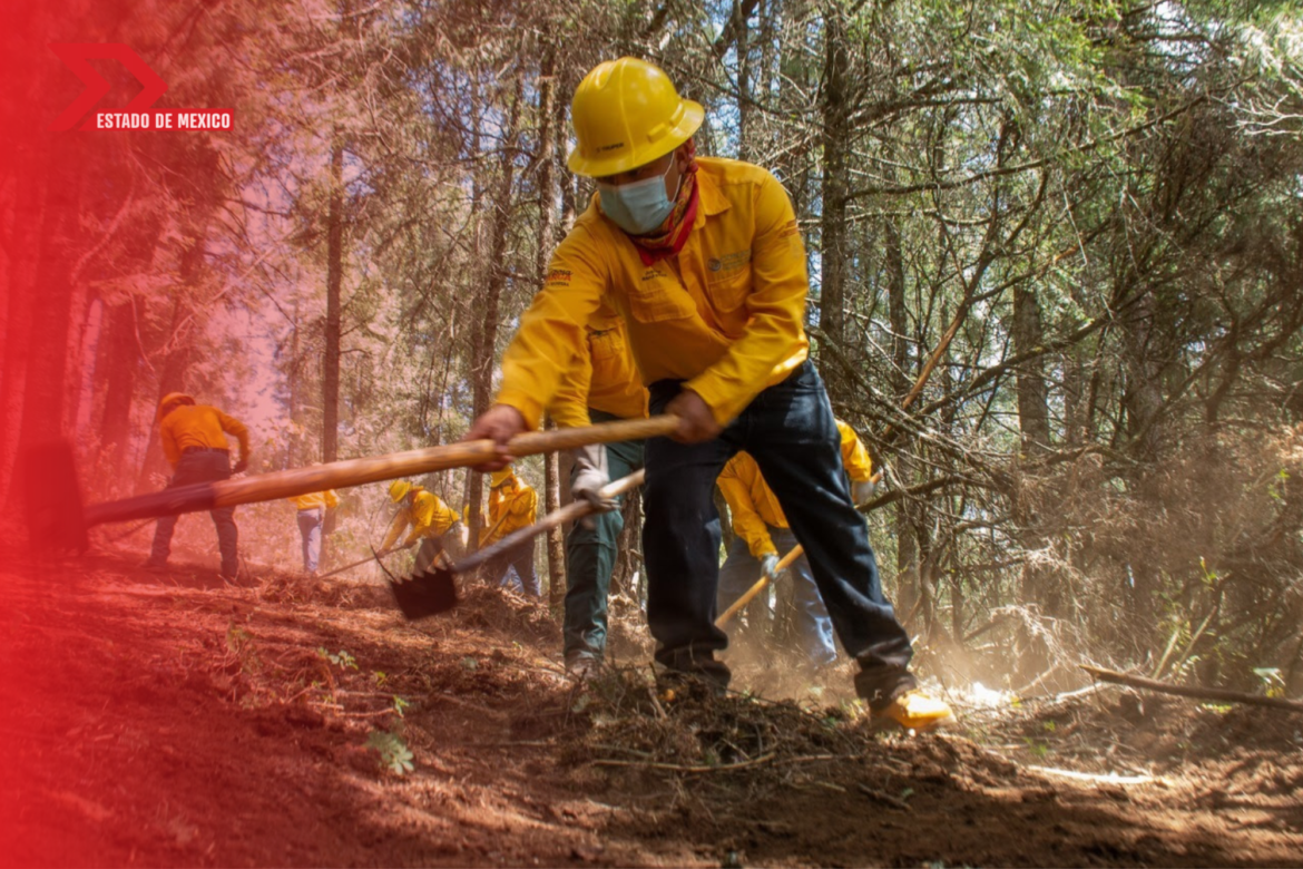 Incendios forestales